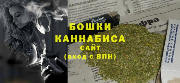 шишки Баксан