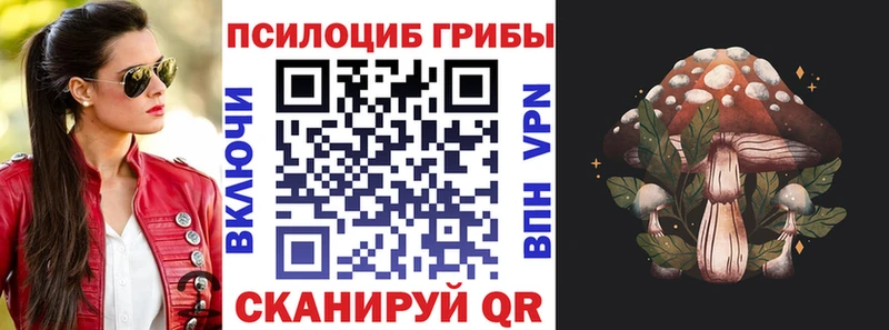 Псилоцибиновые грибы MAGIC MUSHROOMS  МЕГА маркетплейс  Иланский 